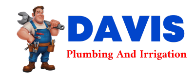 Trusted plumber in SKWENTNA